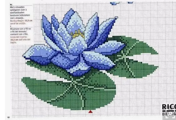 flor de lótus 