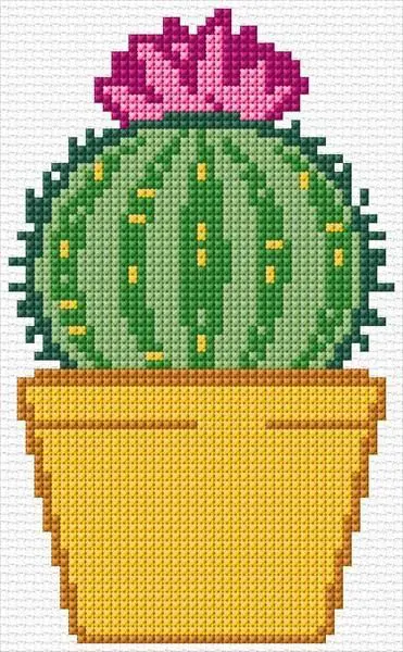 cactos em ponto cruz