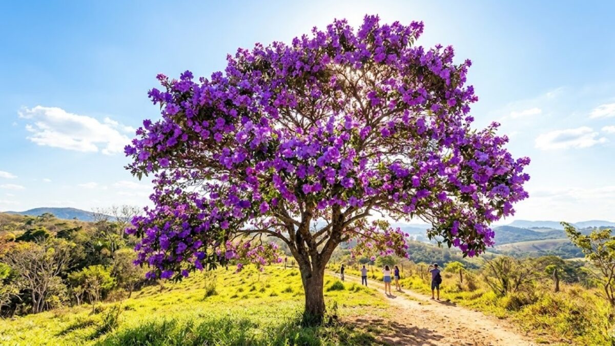 As sete árvores floridas que mantêm o colorido no jardim de casa por semanas ou até meses