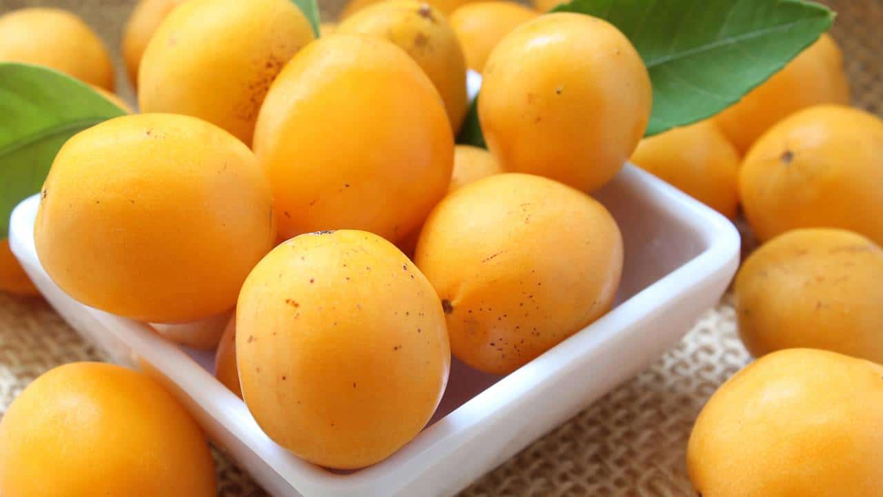 Cajá-manga em boa quantidade