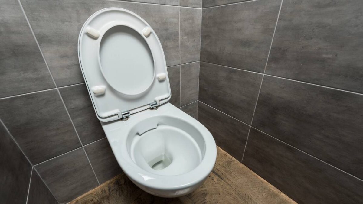 Vaso sanitário higienizado com a tampa levantada