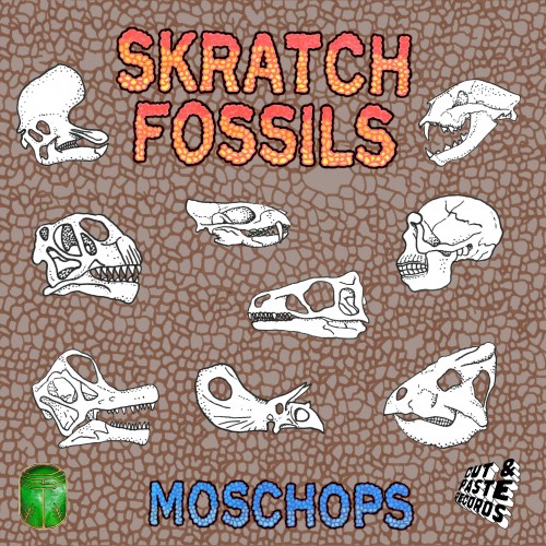 Moschops - Scratch Fossils