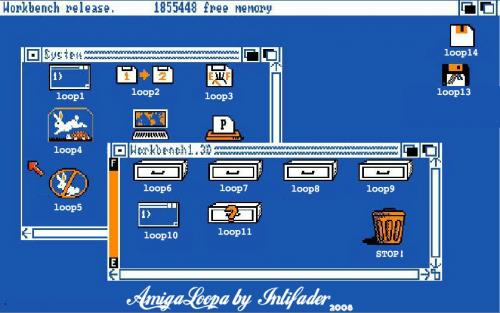 Into - Amiga Loopa