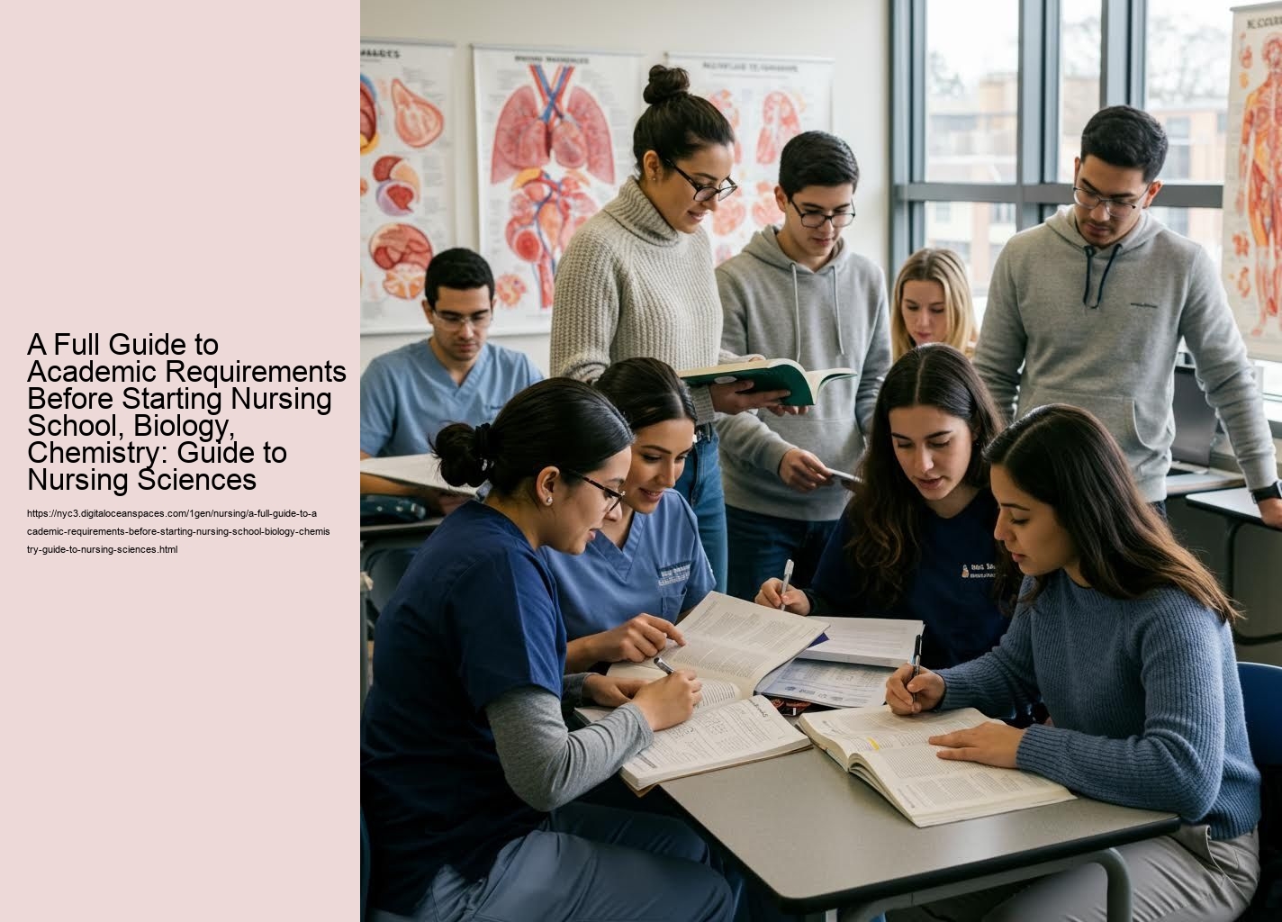 A Full Guide to Academic Requirements Before Starting Nursing School, Biology, Chemistry: Guide to Nursing Sciences