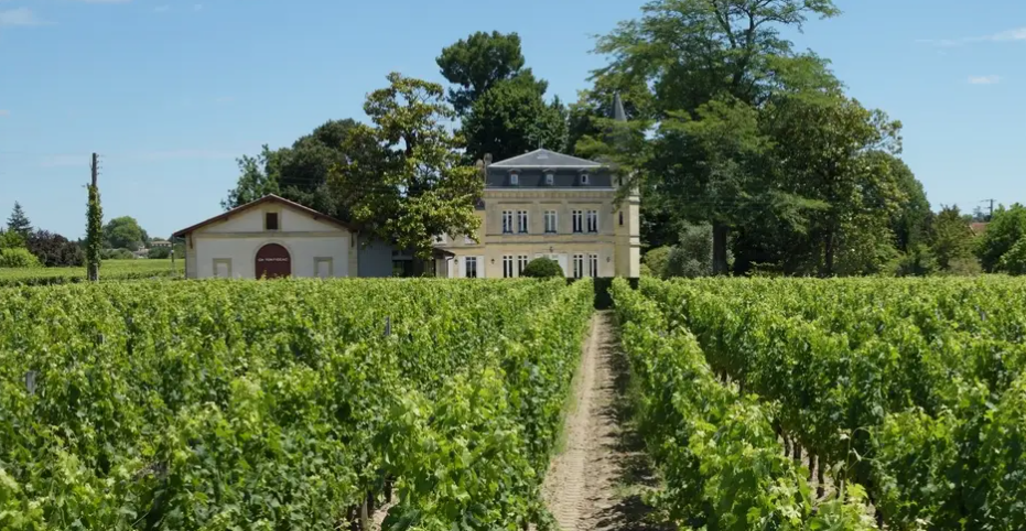 Château Yon-Figeac Wine Tour