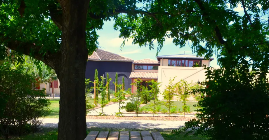 Château Yon-Figeac Wine Tour