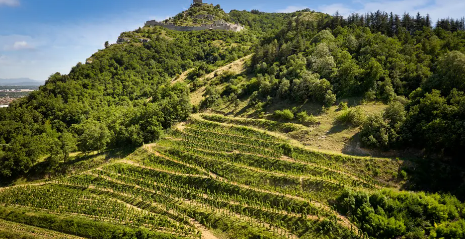 Domaine Rémy Nodin wine bottles and glasses on a table