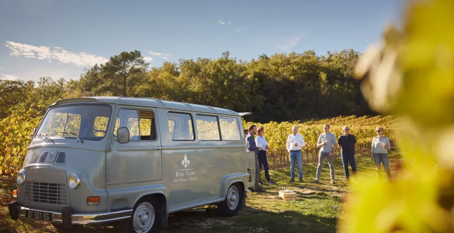 Domaine Rémy Nodin scenic view of the vineyards