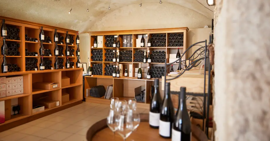 Domaine Rémy Nodin vineyard rows at beautiful sunset