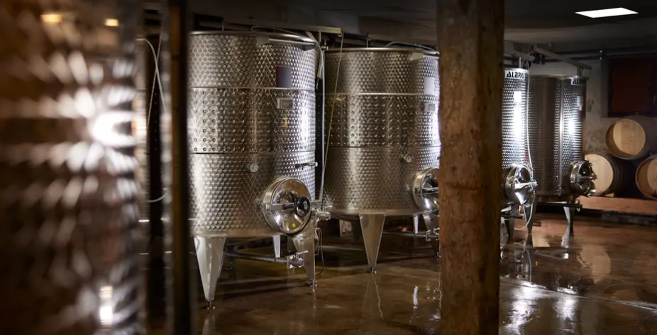 Domaine Rémy Nodin beautiful French wine country landscape