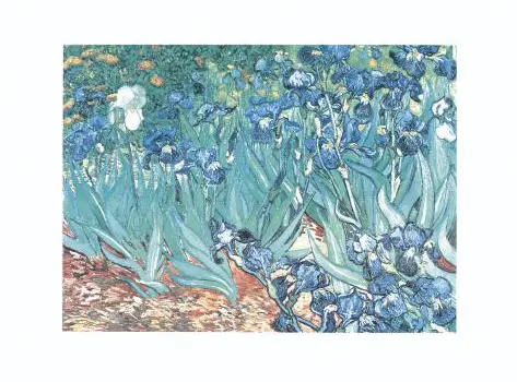 Irises, Saint-Rémy art print by Vincent van Gogh from Art.com