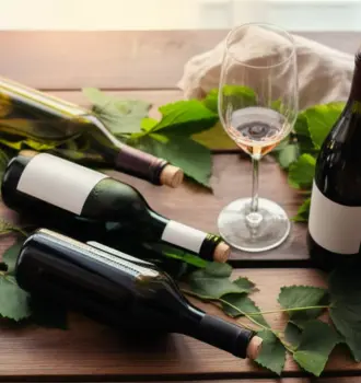 best organic wine brands flat lay with bottles and wine glass on rustic table