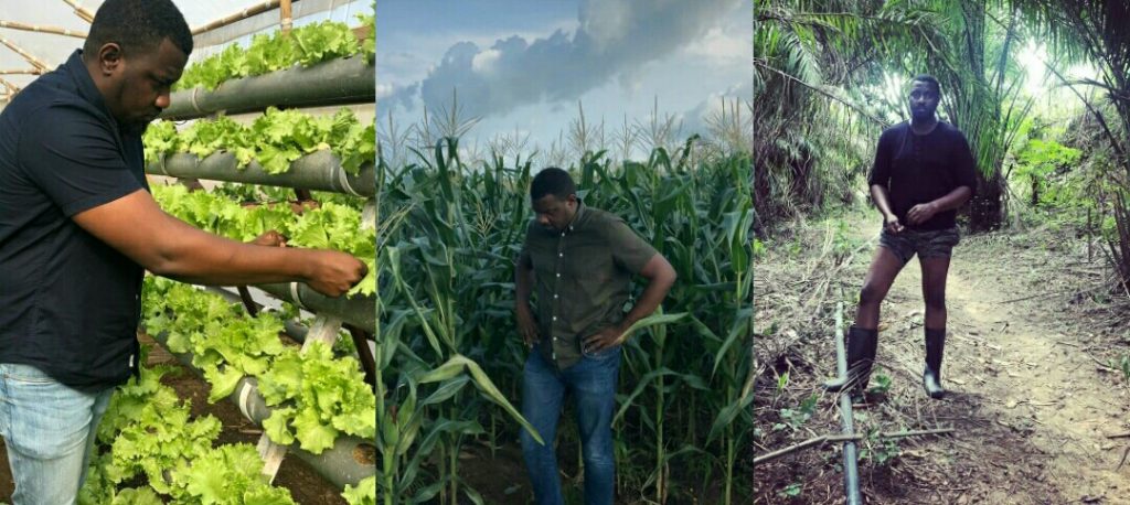 Agriculture has the answer to most of Ghana's problems - John Dumelo 