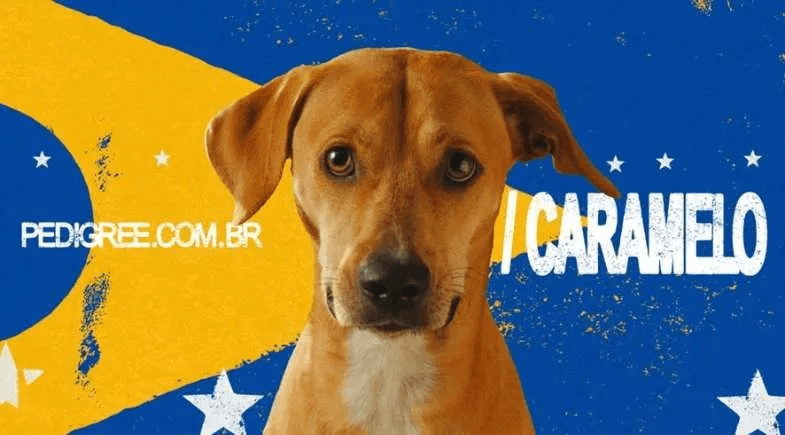 Brasil conquista 34 troféus no FIAP 2026, com Almap BBDO na liderança