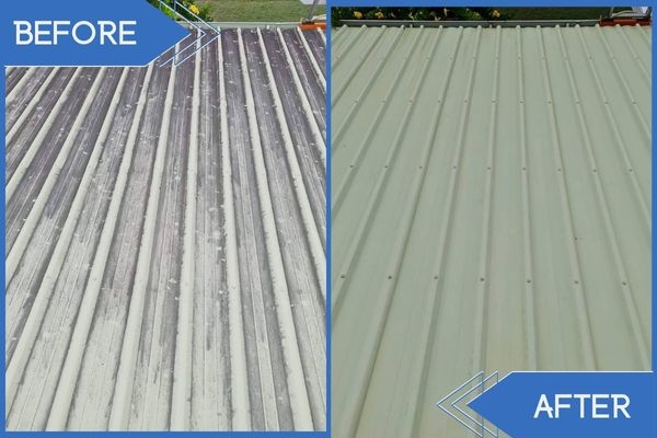 The Advantages of Professional Deck Pressure Cleaning