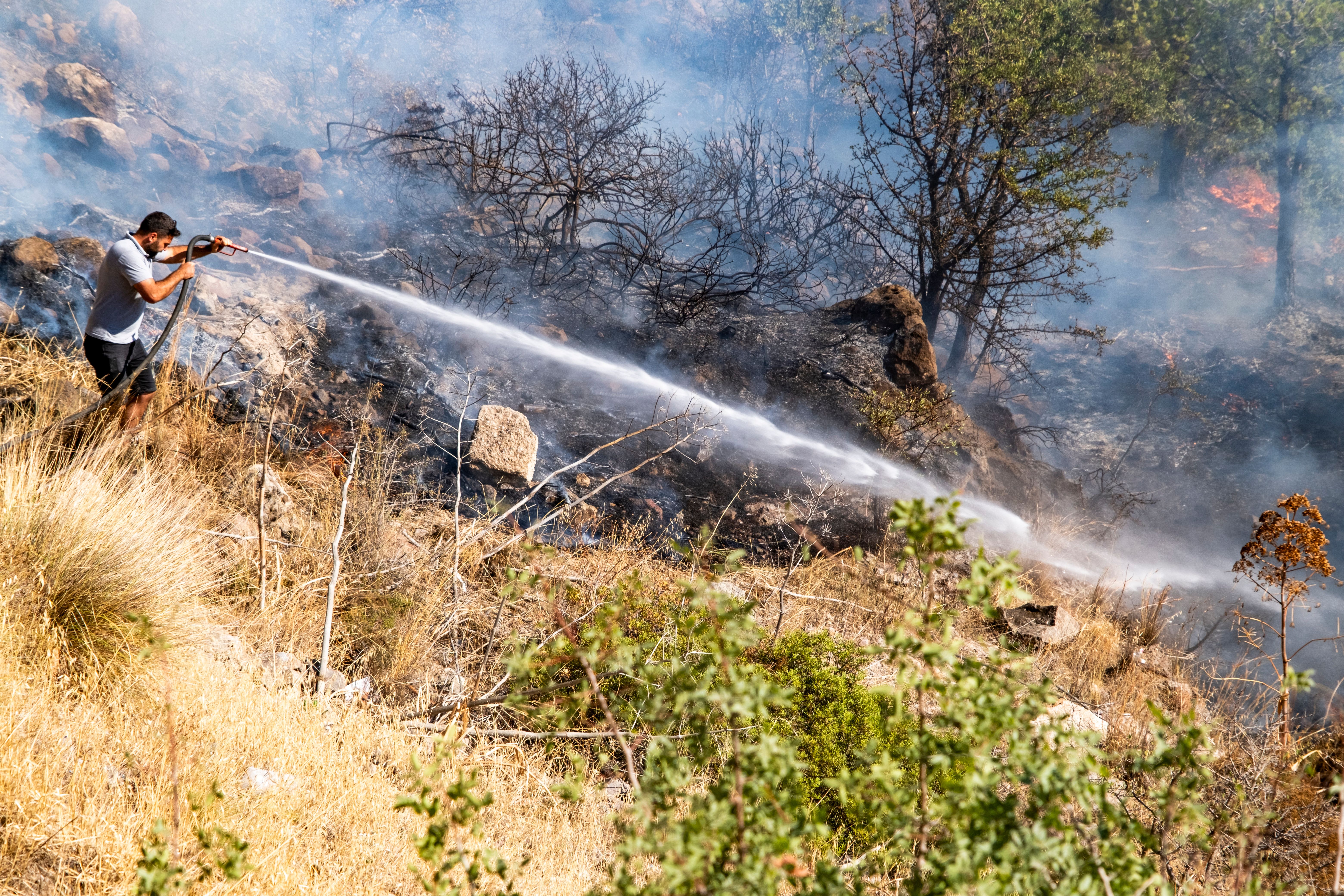 A civilian fighting a forest fire in Bodrum, Turkey, one of the regions ForestGuard has explored to develop its technology. (Stockwars/stock.adobe.com)