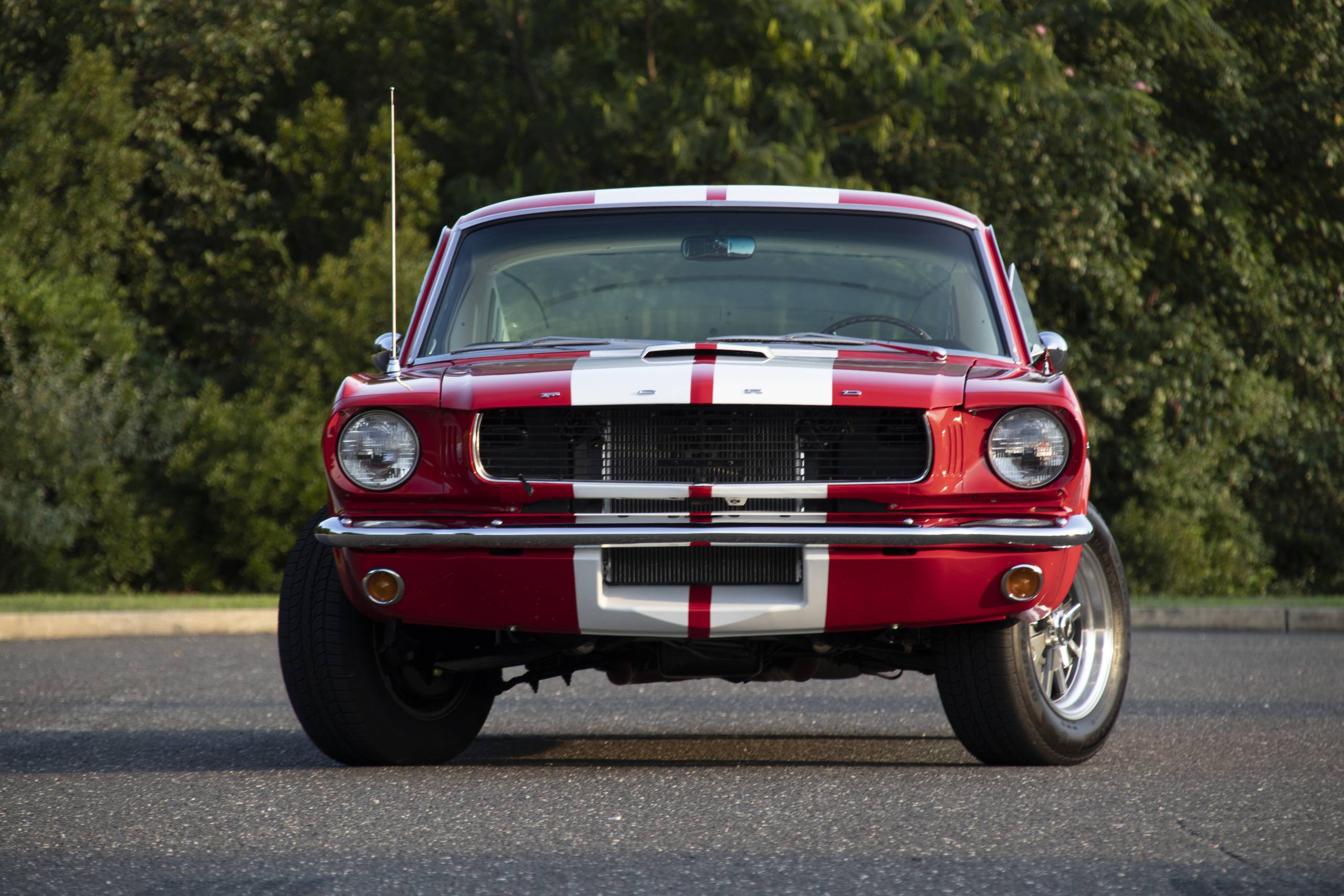 1966 Ford Mustang Fastback GT 350 Reproduction 2
