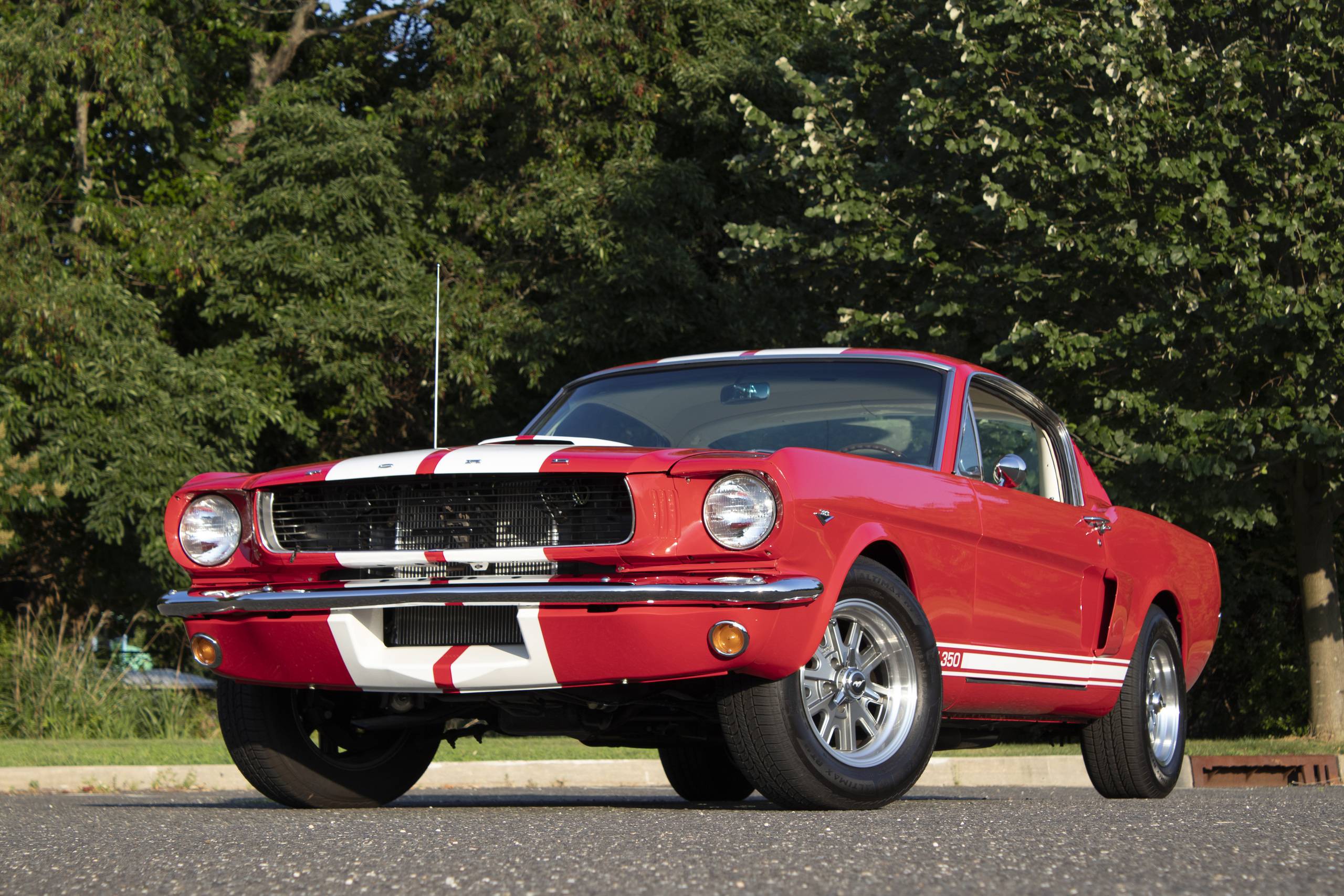 1966 Ford Mustang Fastback GT 350 Reproduction 3