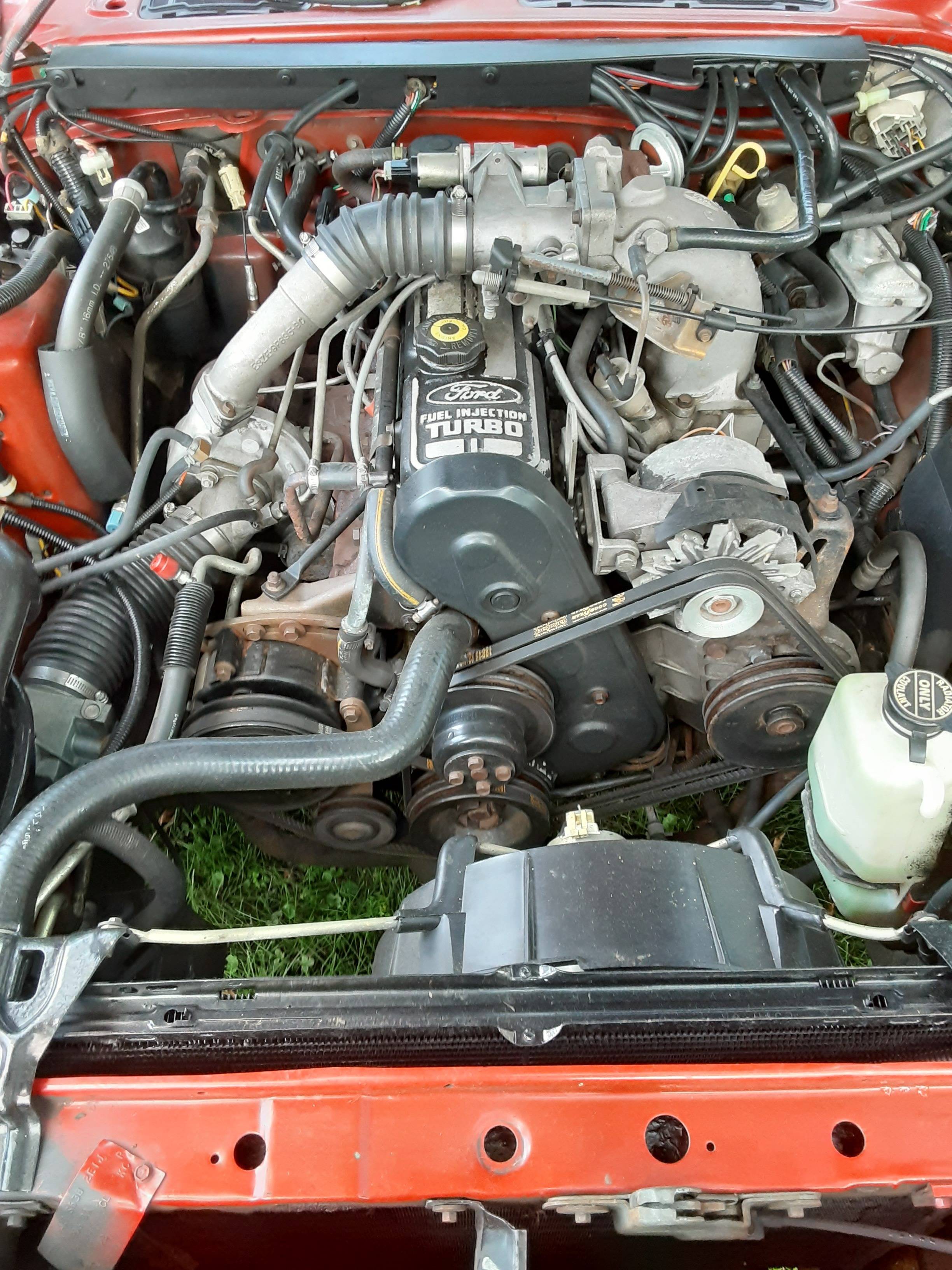 1985 Ford Thunderbird 45