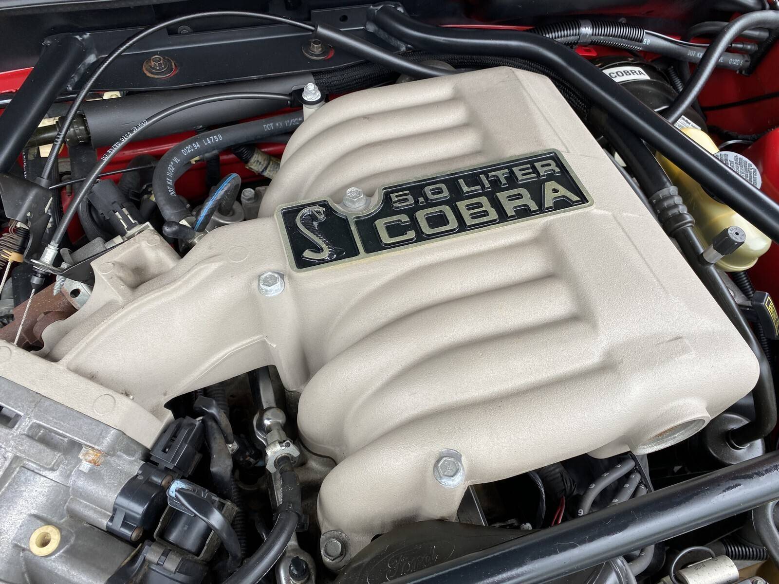 1994 Cobra Pace Car Convertible Mustang 333