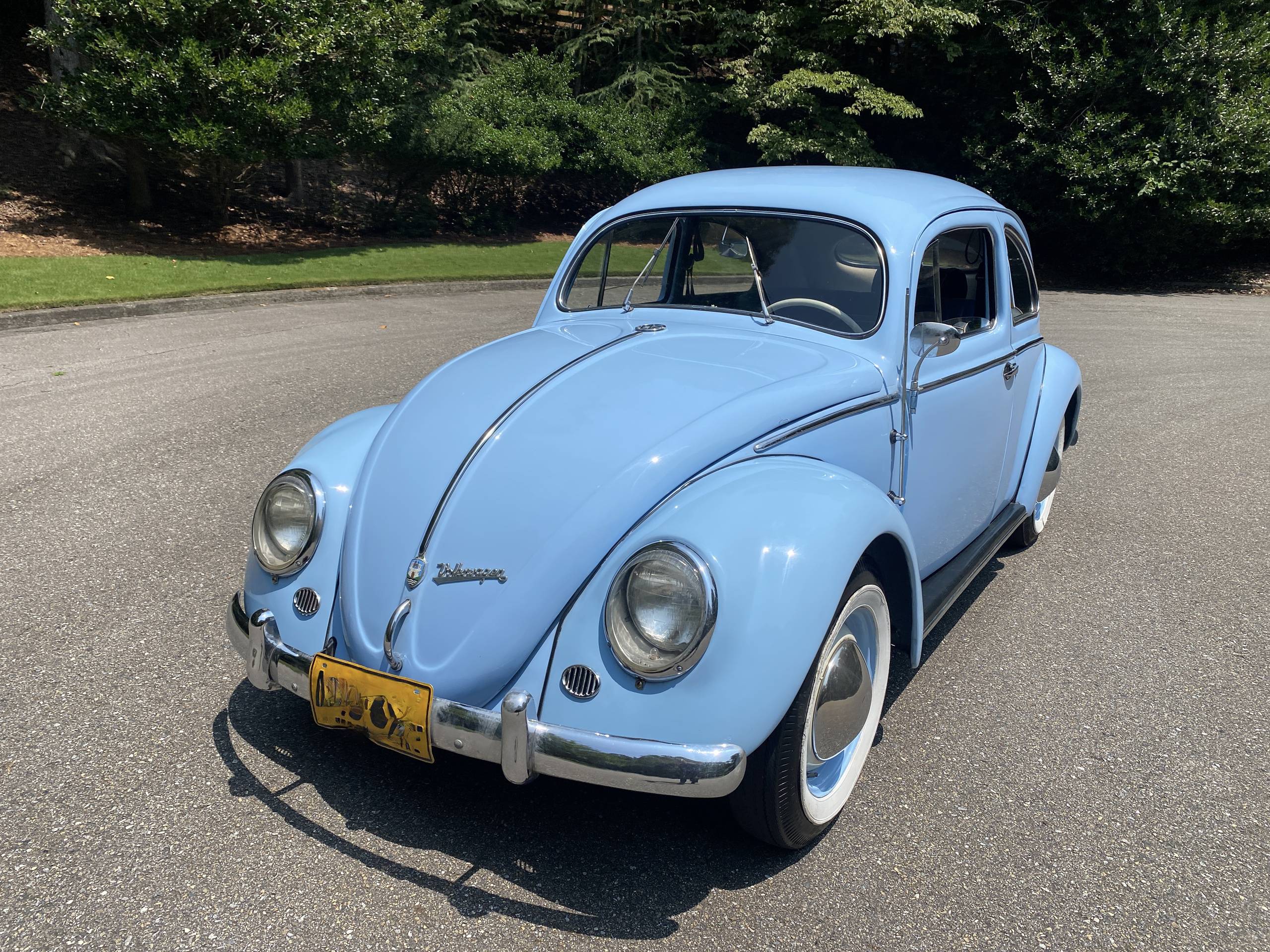 1955 Volkswagen Beetle 5