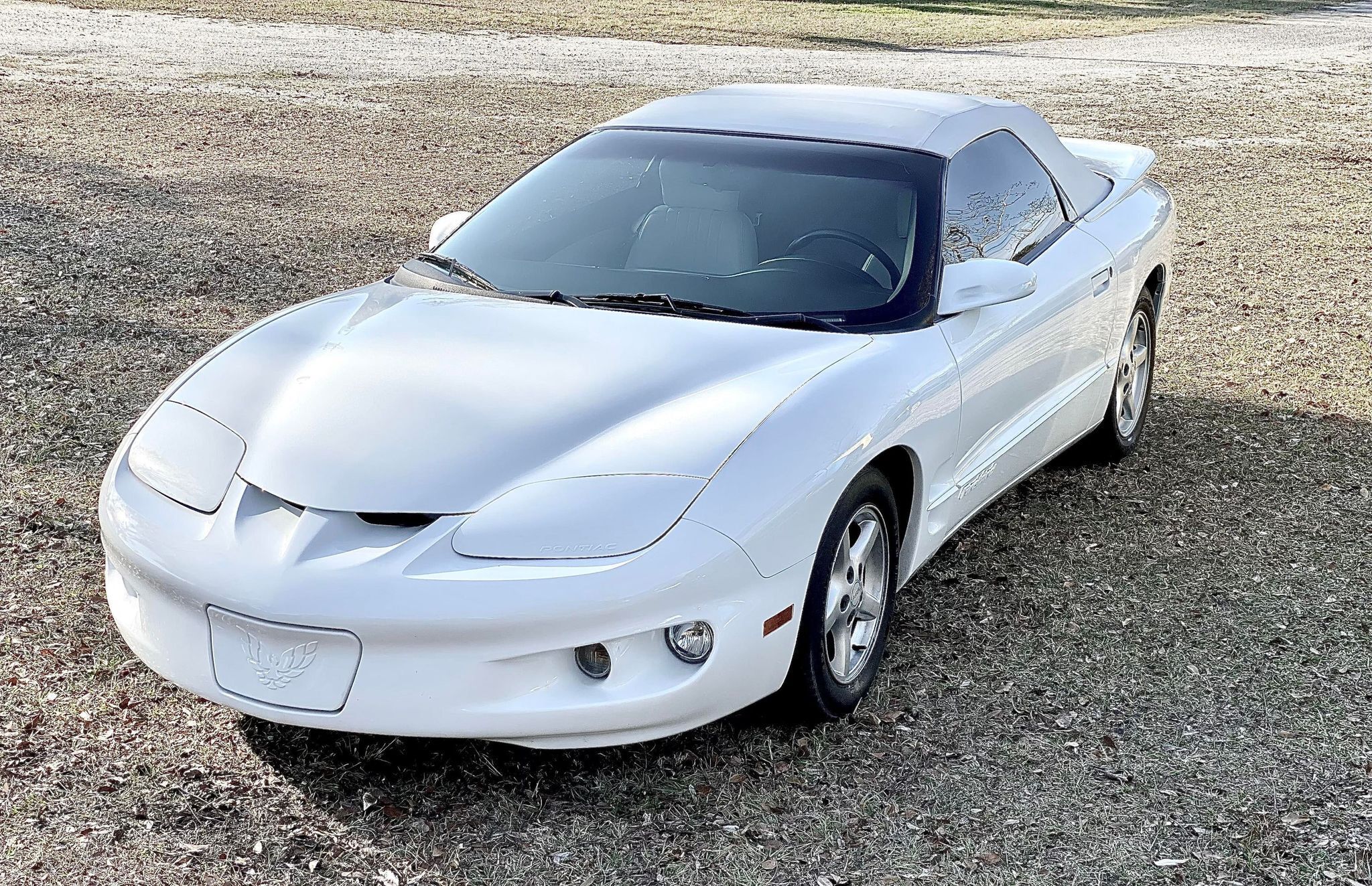 1998 Pontiac Firebird 19