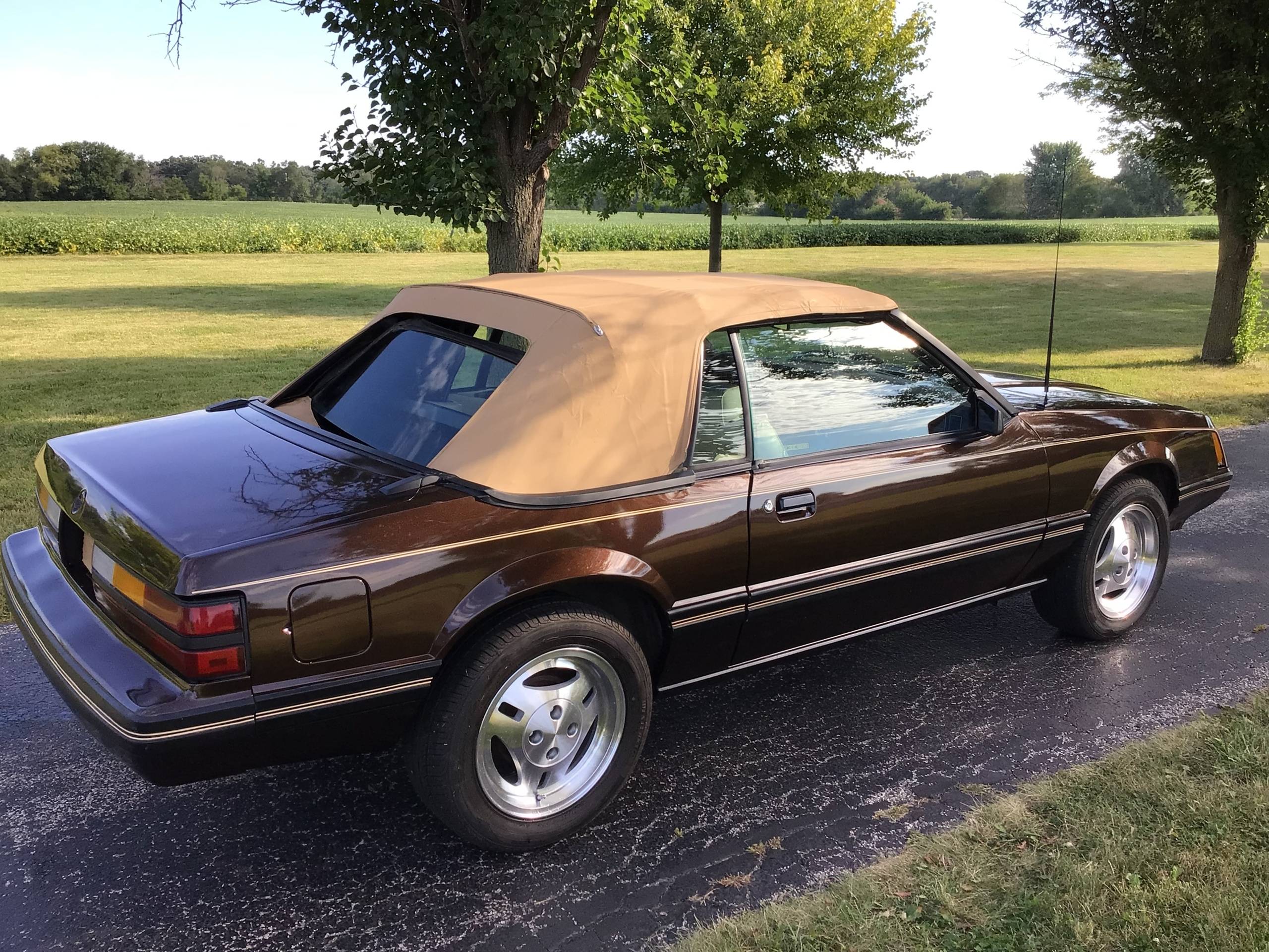 1983 Ford Mustang 5