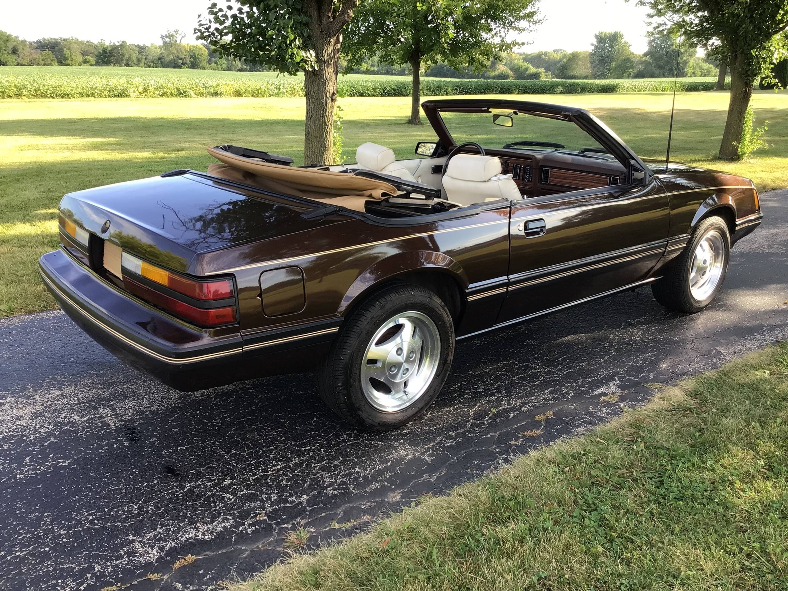 1983 Ford Mustang 27