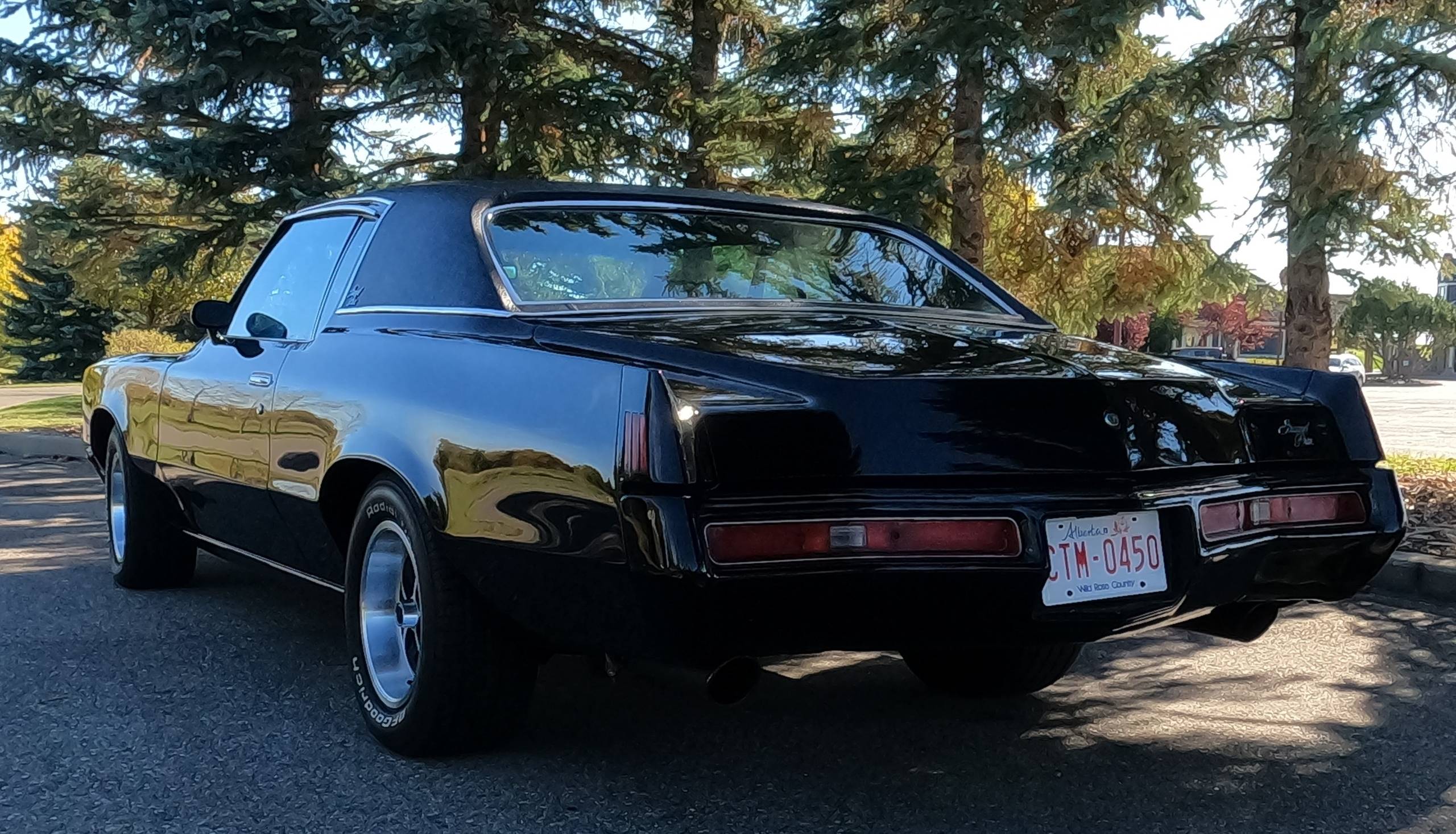 1971 Pontiac Gran Prix 10