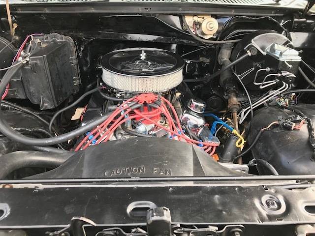 1981 Ford F150 8