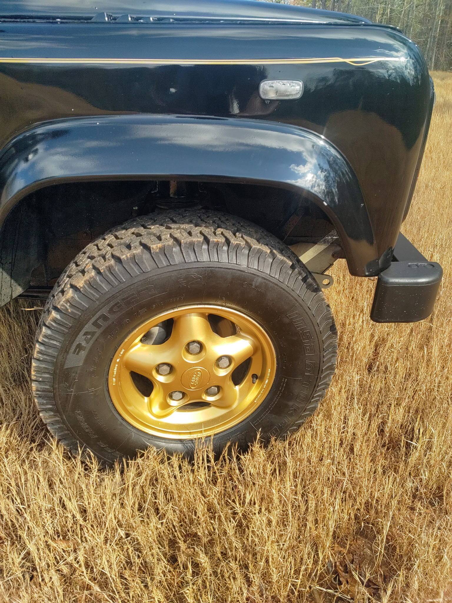 1991 Land Rover Defender 90 66
