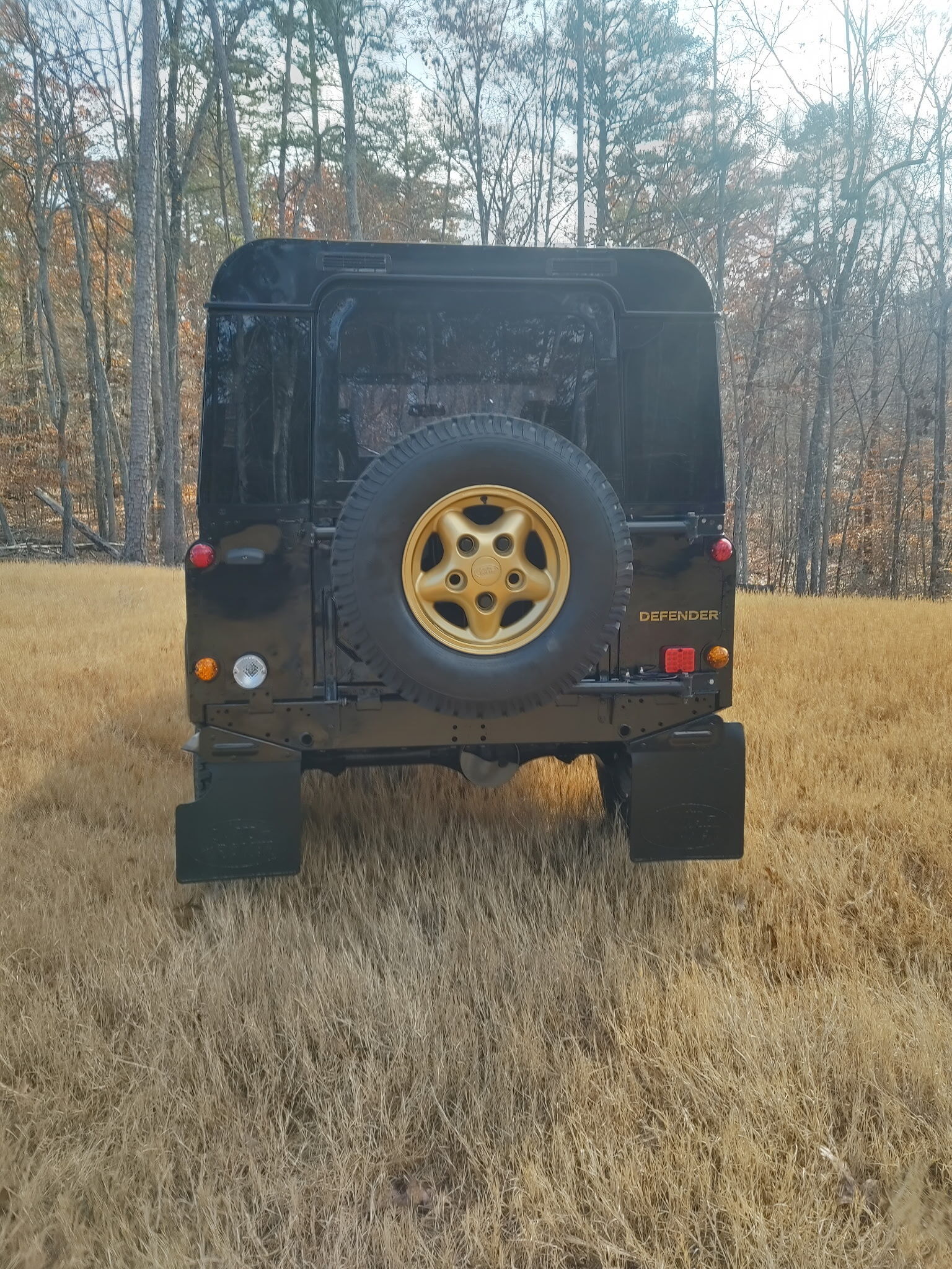 1991 Land Rover Defender 90 4