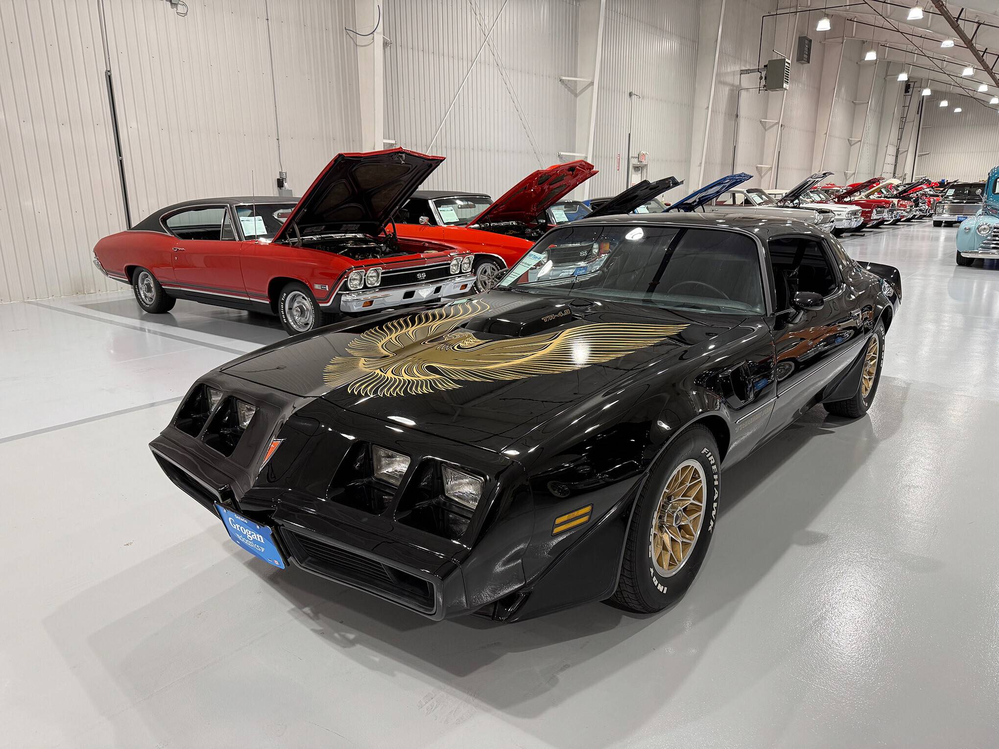 1981 Pontiac Firebird Trans Am 2