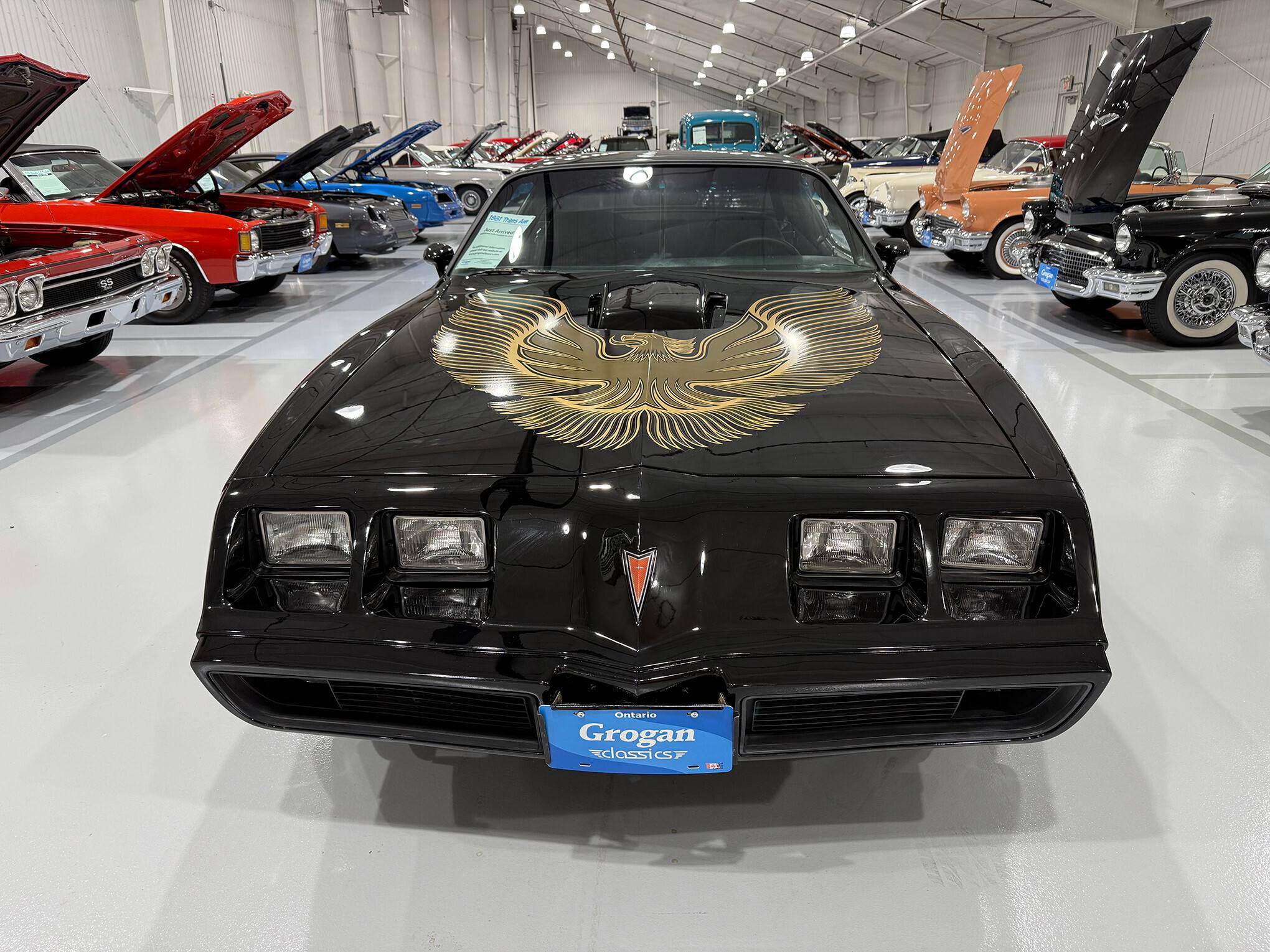 1981 Pontiac Firebird Trans Am 10