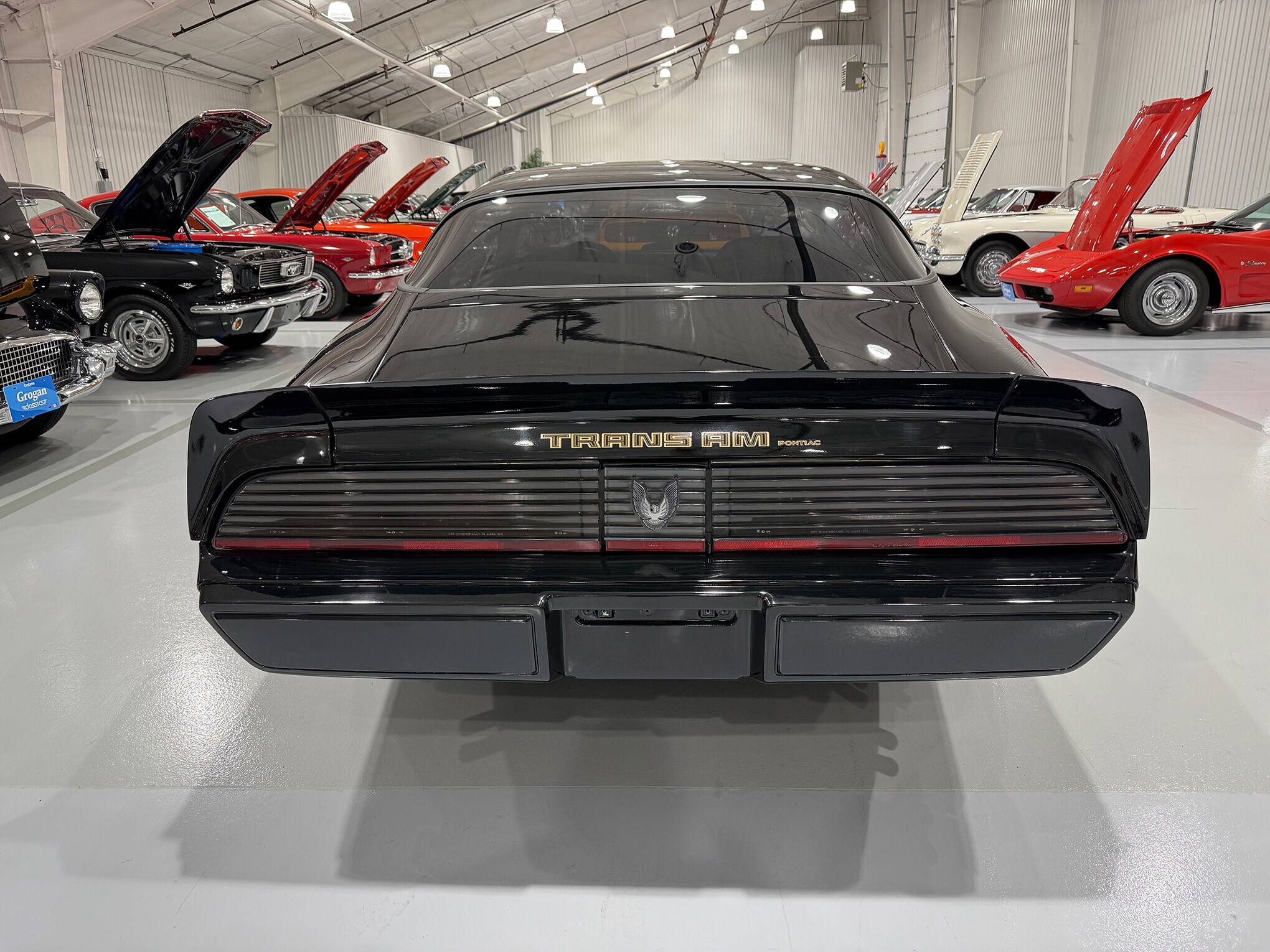 1981 Pontiac Firebird Trans Am 4
