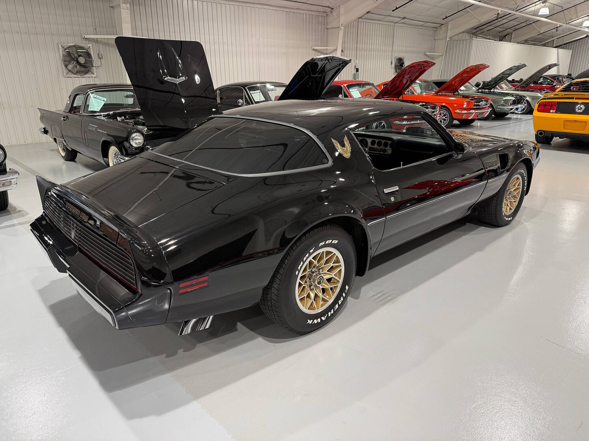 1981 Pontiac Firebird Trans Am 6