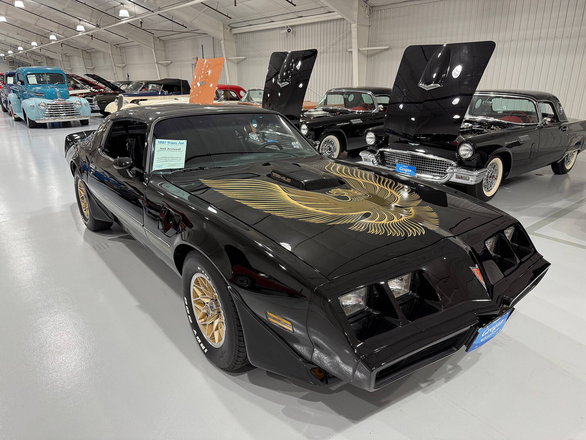 1981 Pontiac Firebird Trans Am 8