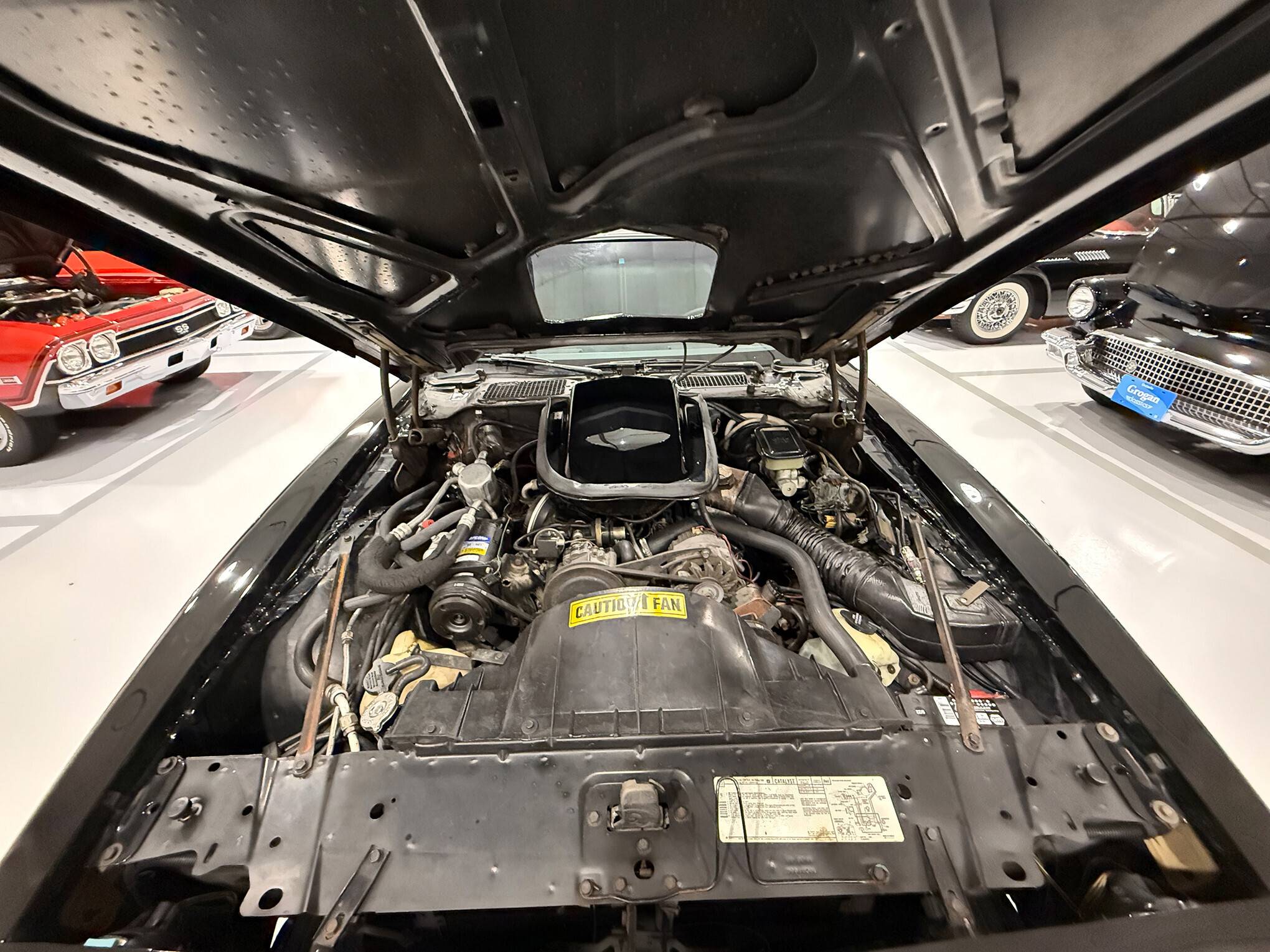 1981 Pontiac Firebird Trans Am 29