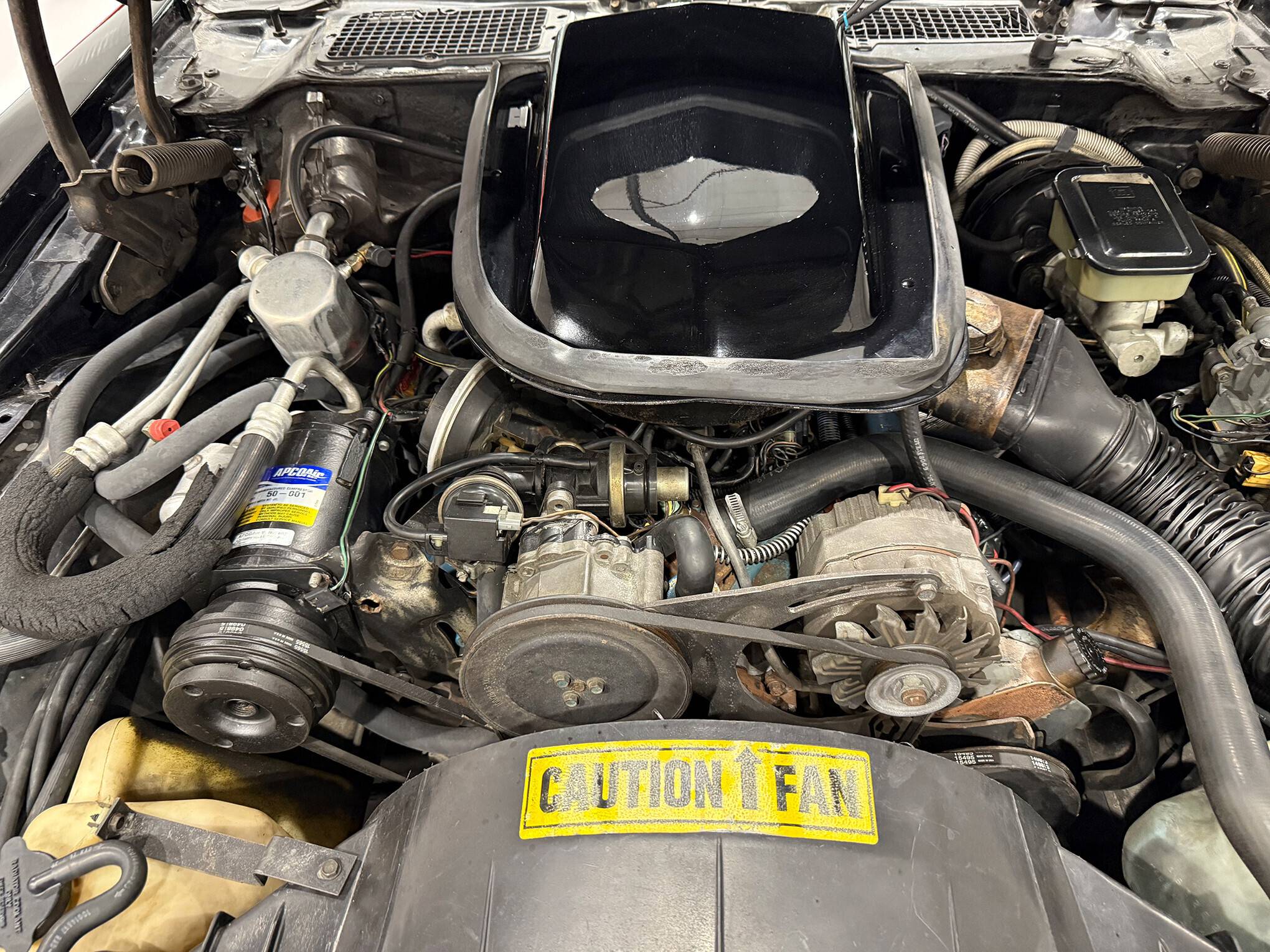 1981 Pontiac Firebird Trans Am 30