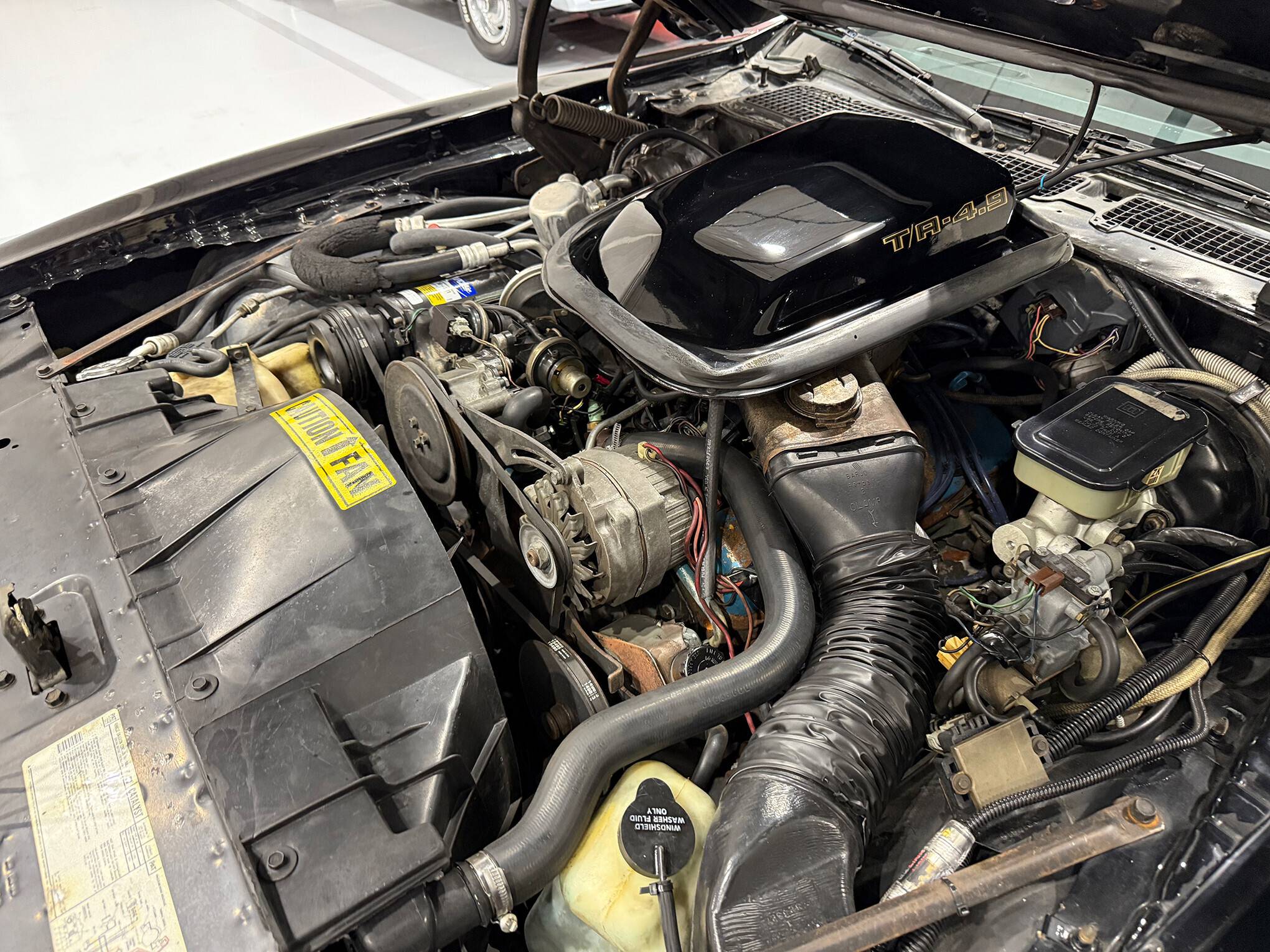 1981 Pontiac Firebird Trans Am 32