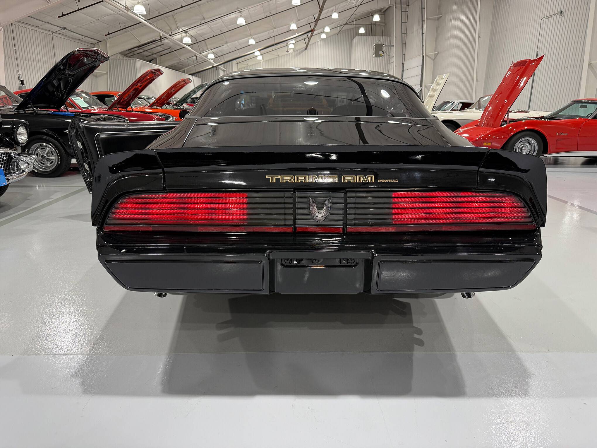 1981 Pontiac Firebird Trans Am 5