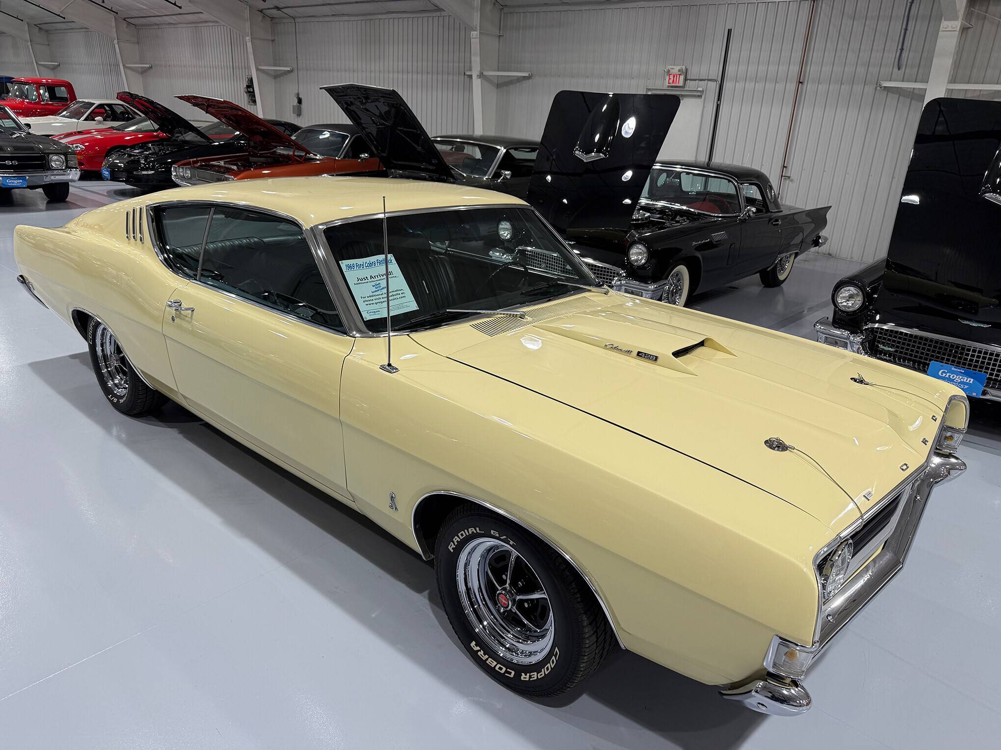 1969 Ford Cobra 428 CJ 12