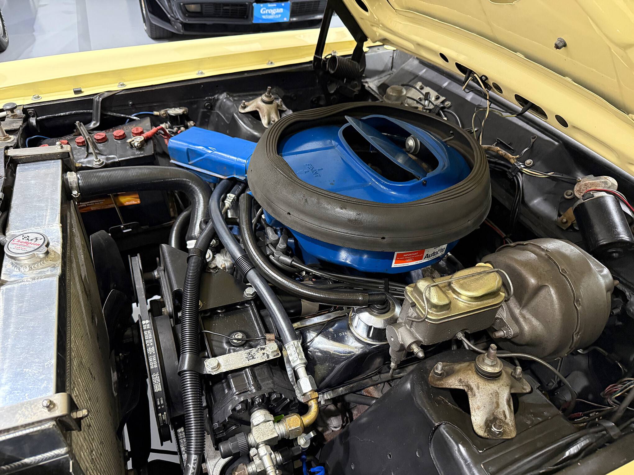 1969 Ford Cobra 428 CJ 36