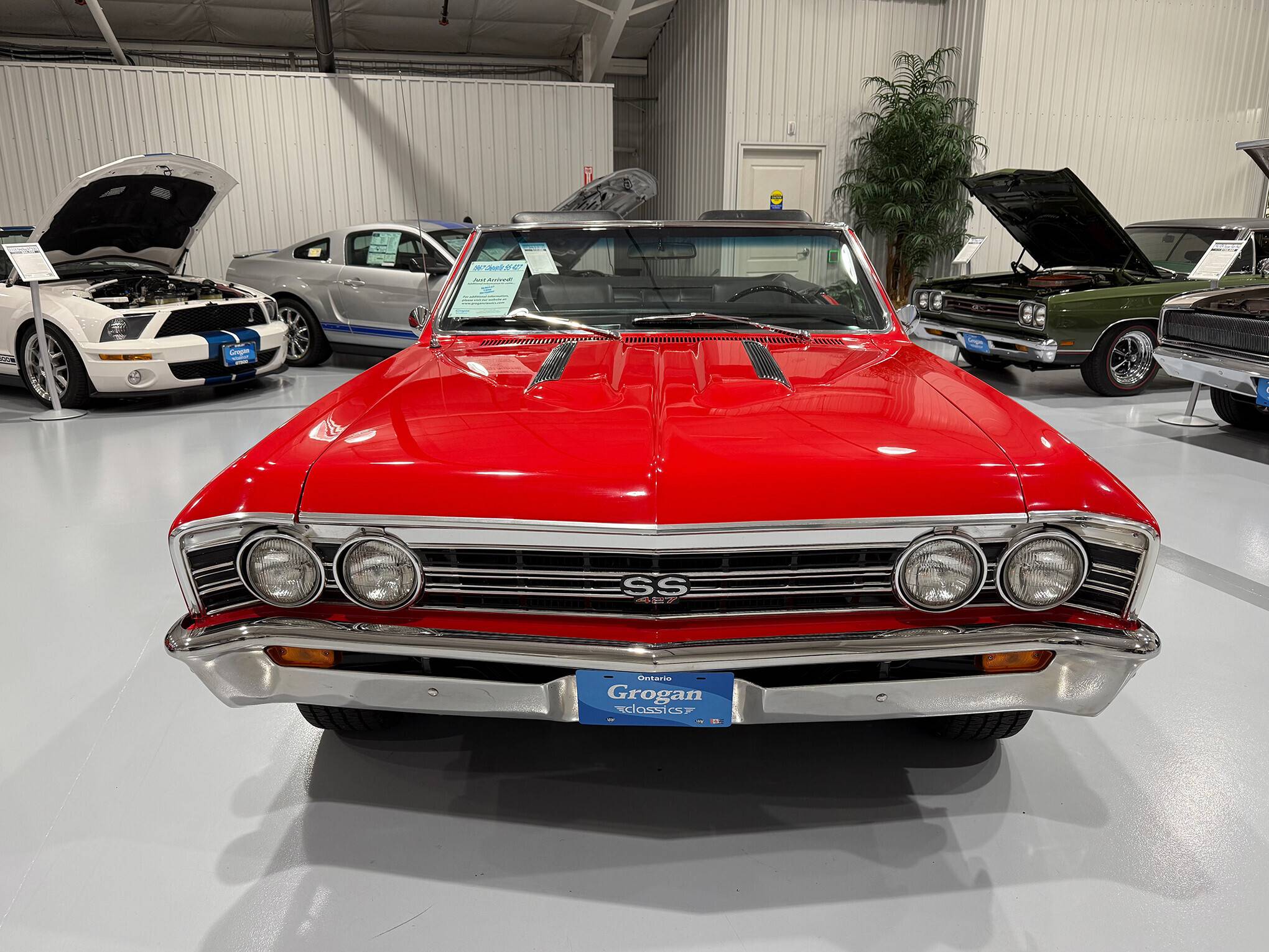 1967 Chevrolet Chevelle SS 427 12