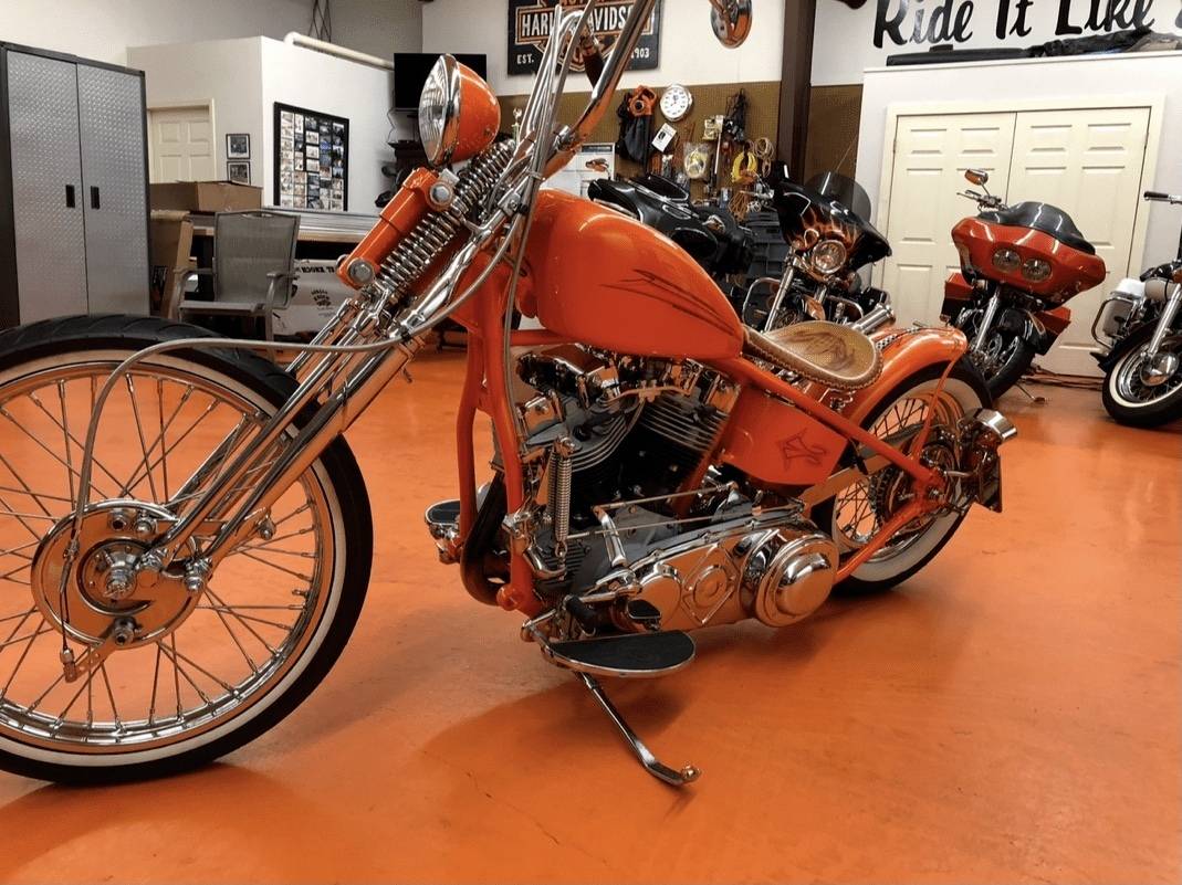 1979 Harley Davidson Shovel Head 14