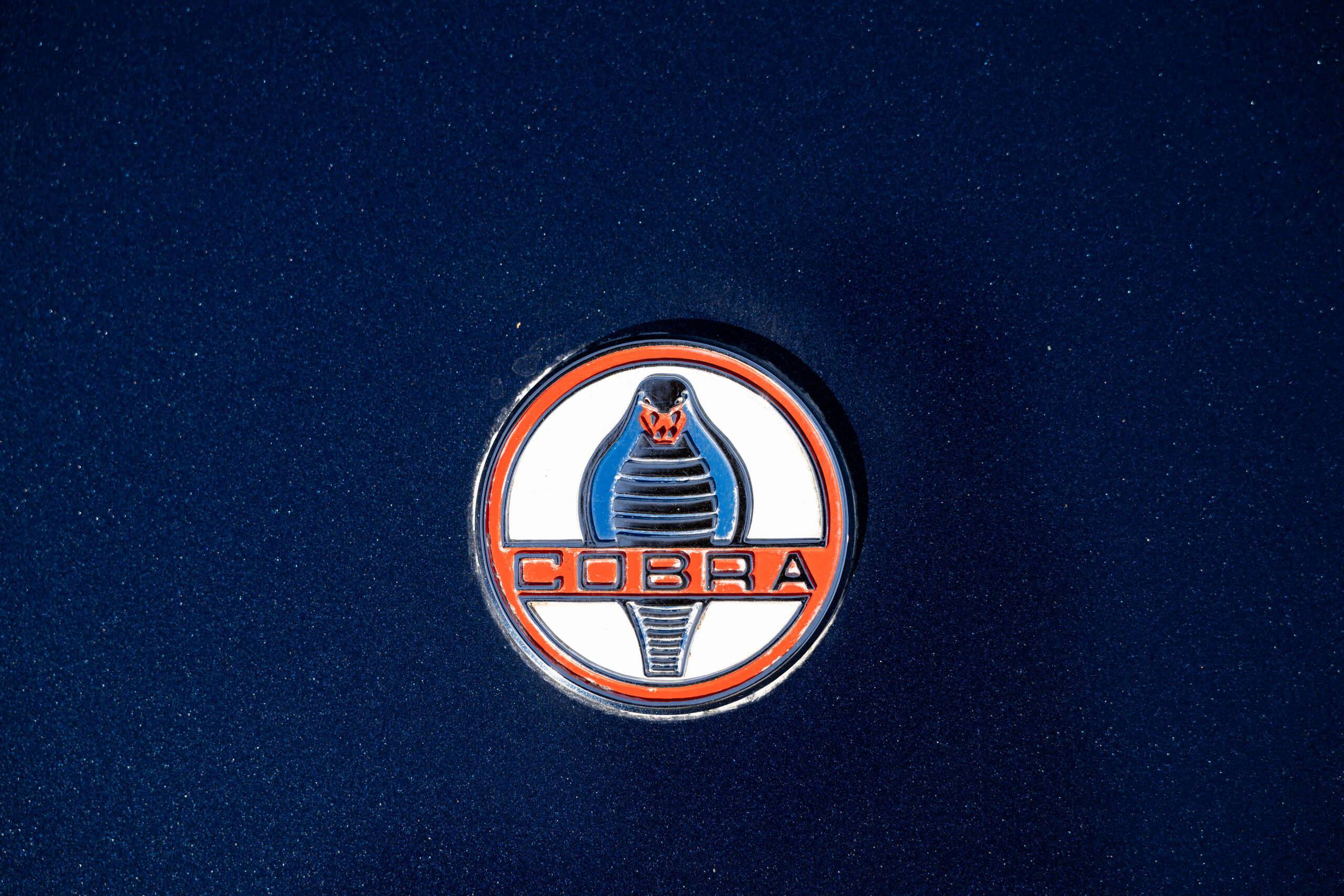 1965 Shelby Cobra 16