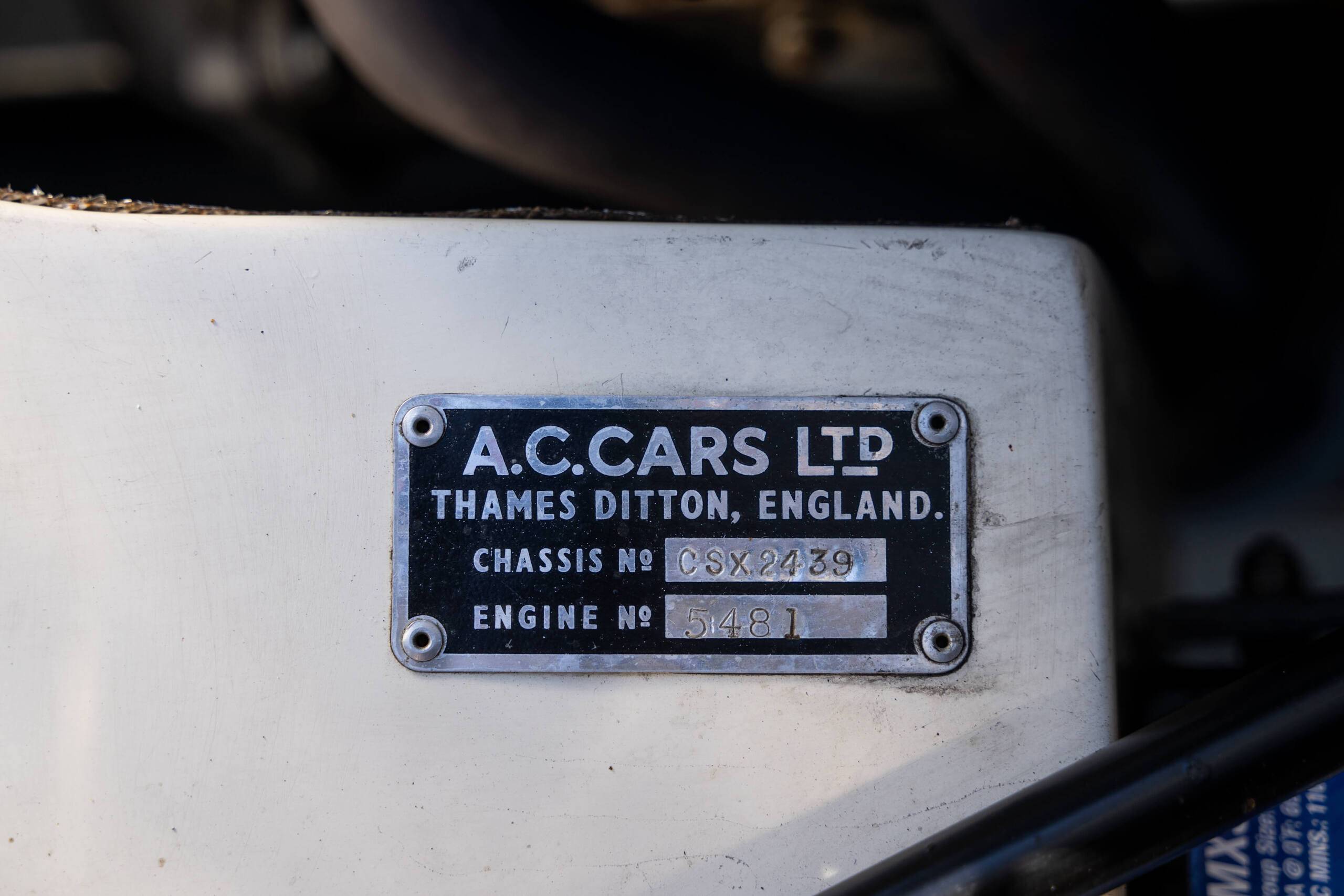 1965 Shelby Cobra 31