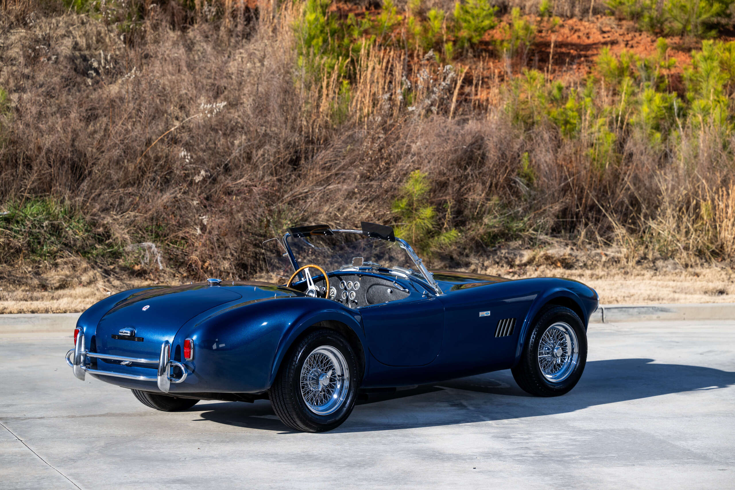 1965 Shelby Cobra 7