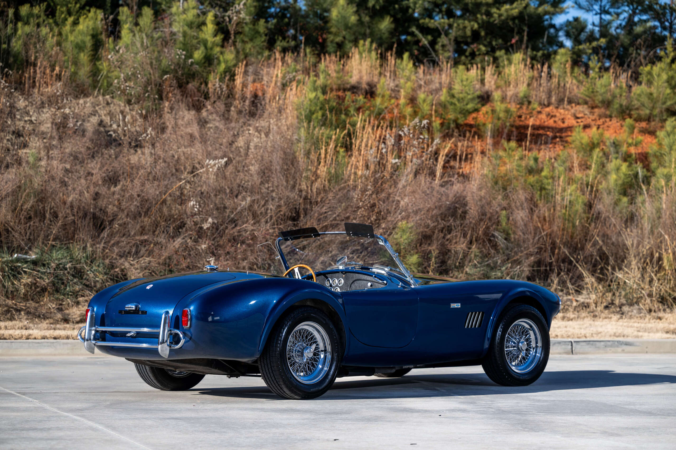 1965 Shelby Cobra 8
