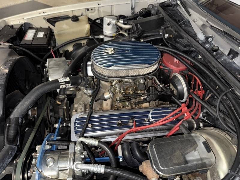 1981 Chevrolet El Camino 59